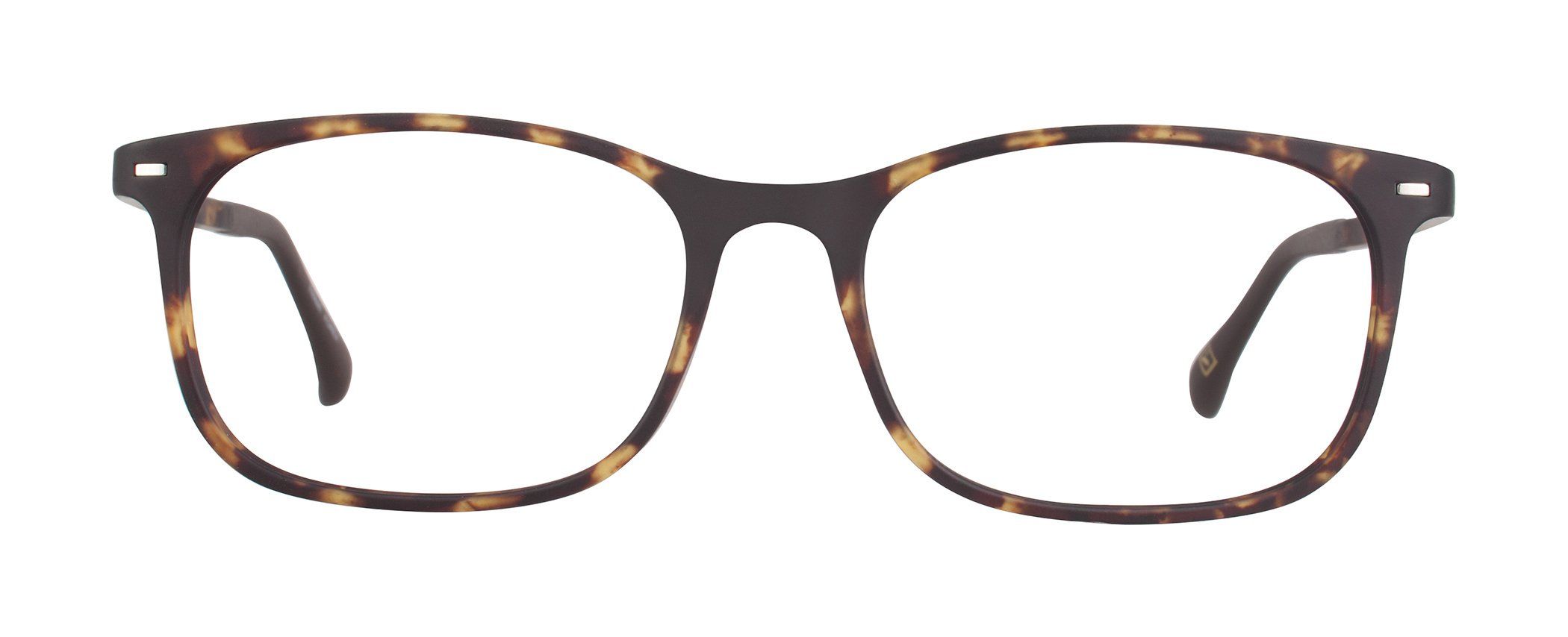 VR-8 New Tort (Wholesale) | Väri Eyewear