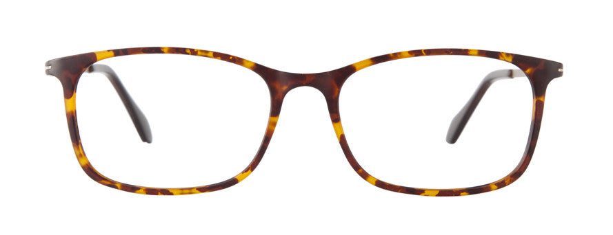 VM-104 New Tort/Gold | Väri Eyewear
