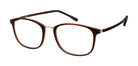 VR-16 Brown Trans/Gold Bridge (Wholesale) | Väri Eyewear