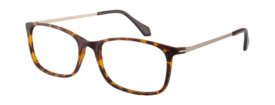 VM-104 New Tort/Gold | Väri Eyewear
