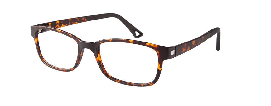 VR-3 New Tort | Väri Eyewear